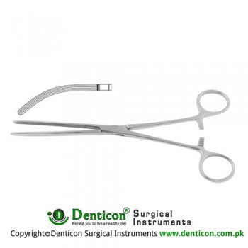 Mayo-Robson Intestinal Clamp Curved Stainless Steel, 24.5 cm - 9 3/4"